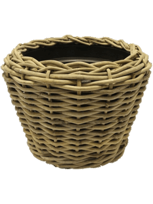 Drypot CI Rattan