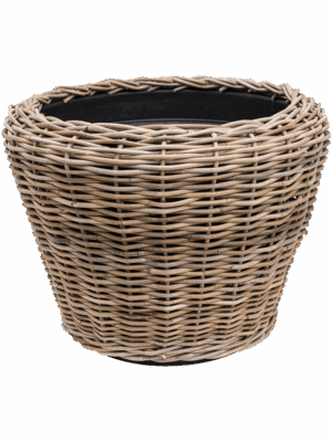 Drypot Rattan