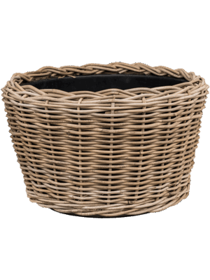 Drypot Rattan