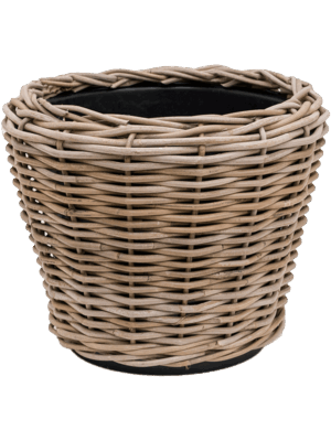 Drypot Rattan