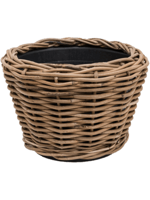 Drypot Rattan