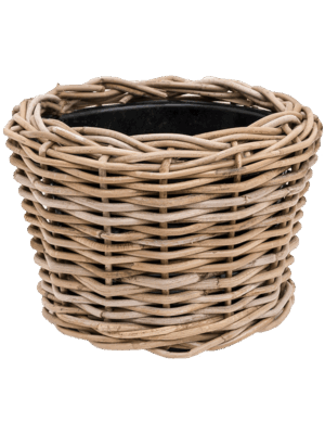 Drypot Rattan