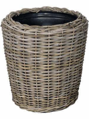 Drypot Rattan
