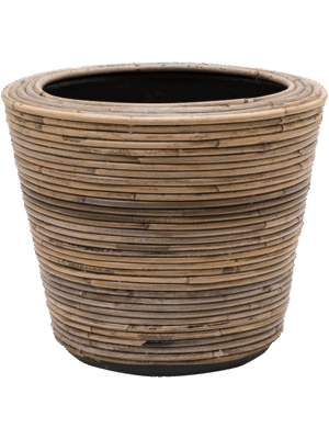 Drypot Rattan Stripe
