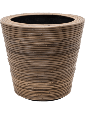Drypot Rattan Stripe