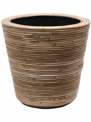 Drypot Rattan Stripe