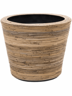 Drypot Rattan Stripe