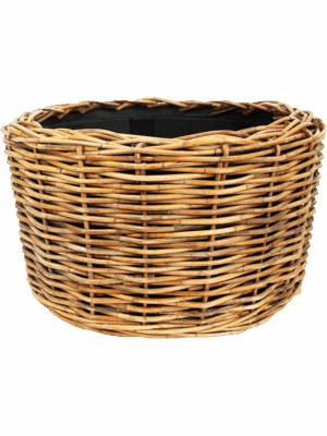 Drypot CI Rattan