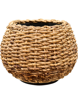 Drypot Abaca