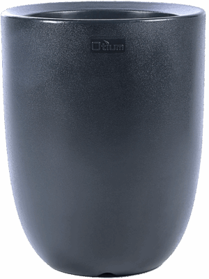 Otium