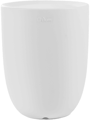 Otium