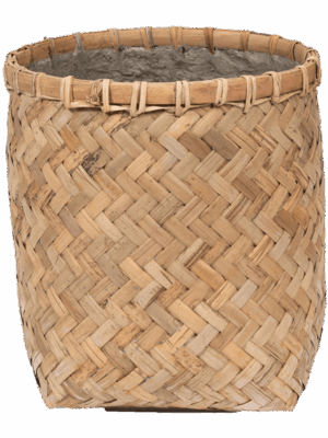 Bohemian