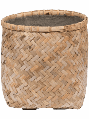 Bohemian