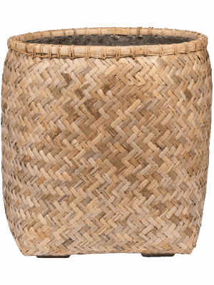 Bohemian