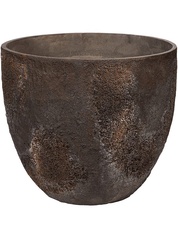 Oyster, Pottery Pots