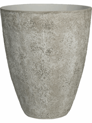 Oyster
