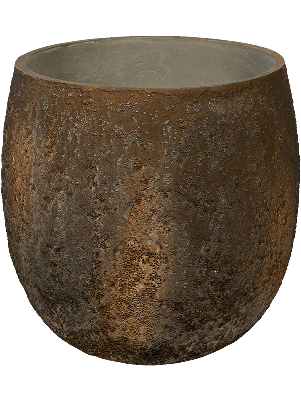Oyster, Pottery Pots