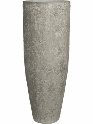 Oyster