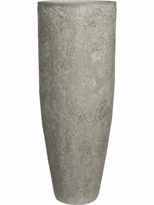 Oyster