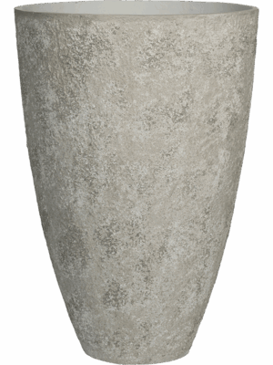 Oyster