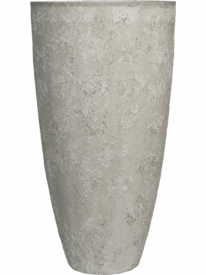 Oyster