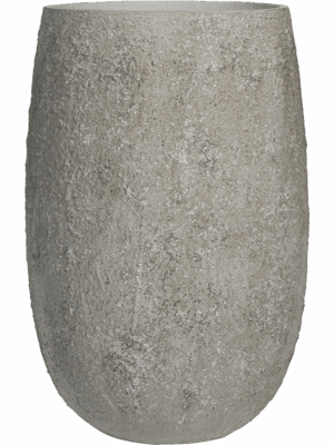 Oyster