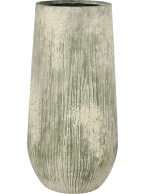 Oyster