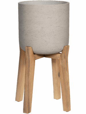 Rough With Feet High