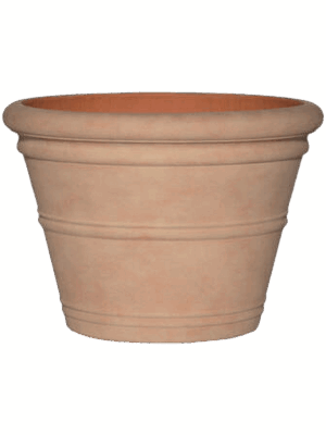 Treasure
