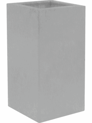 Prestige Plus