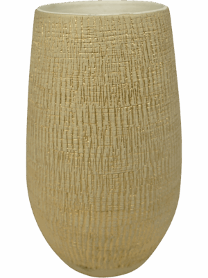 Ryan