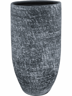 Cas