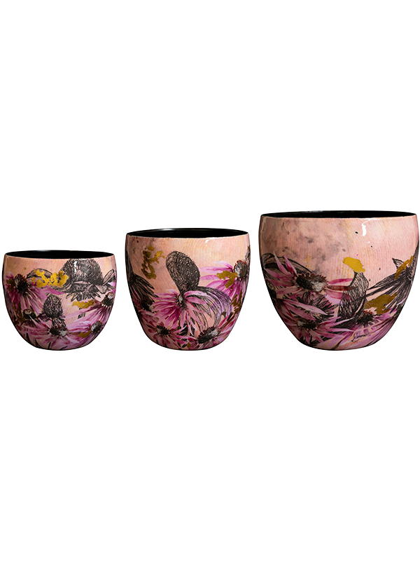 Designed By Lammie, Ter Steege