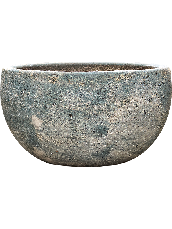 Baq Sandora