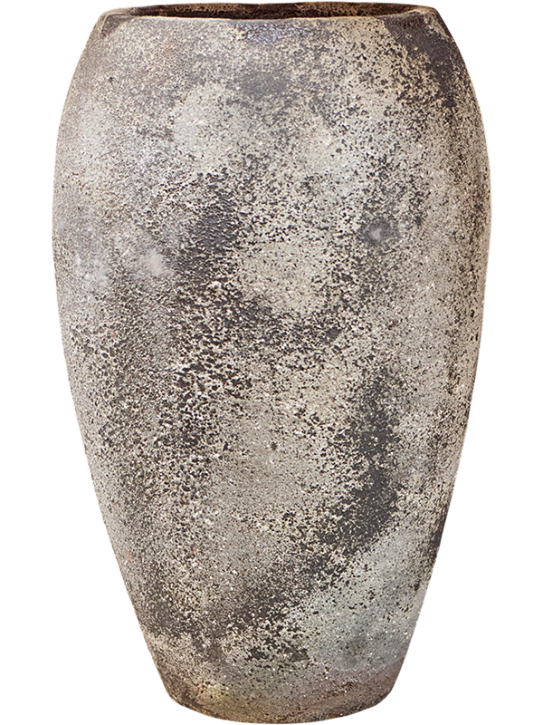 Baq Sandora