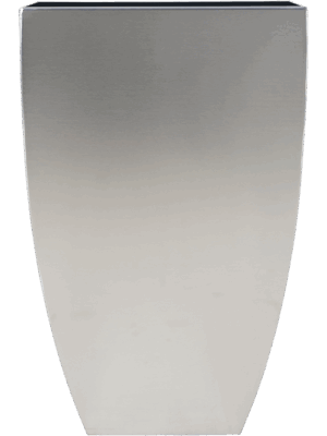 Superline Bellatrix