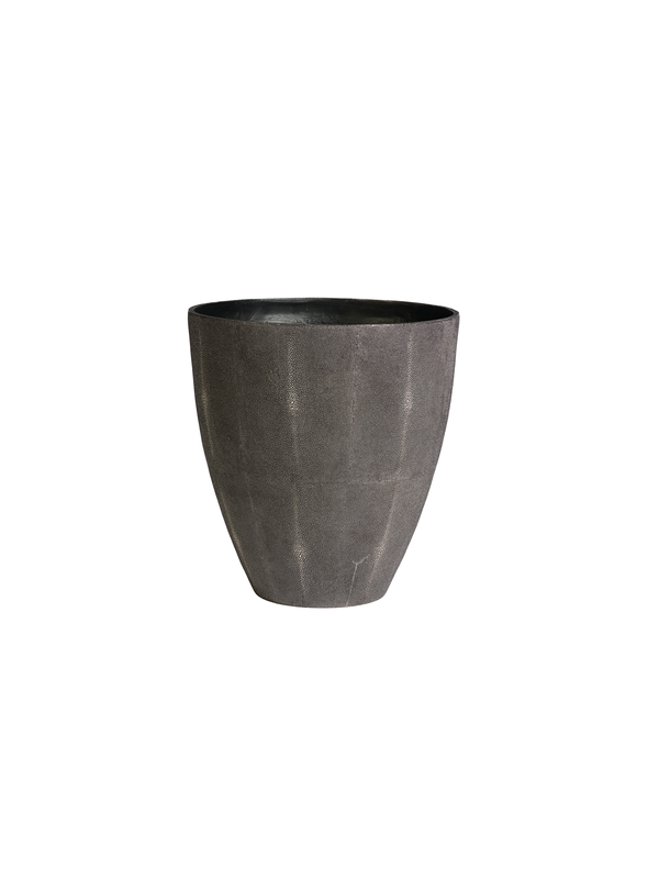 Stingray, Plantinum