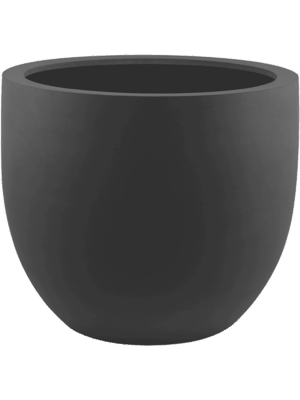 Stretto