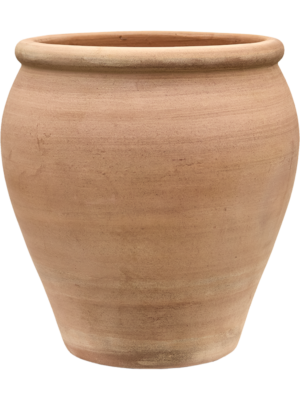 Terra Antica
