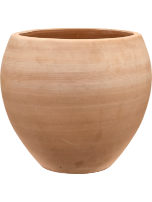 Terra Moderna