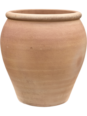 Terra Antica