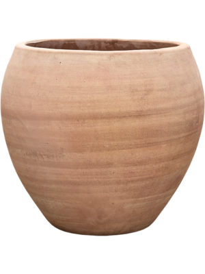 Terra Moderna