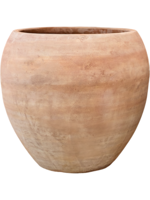 Terra Moderna