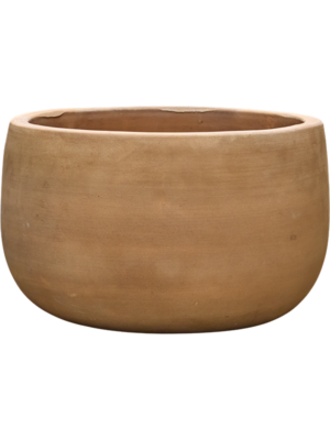 Terra Moderna