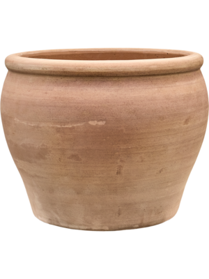 Terra Antica