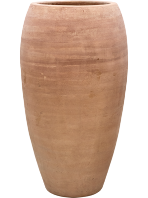 Terra Moderna