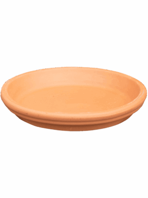 Terra Cotta