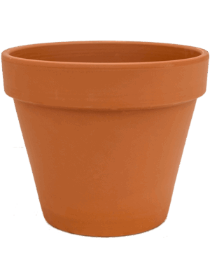 Terra Cotta
