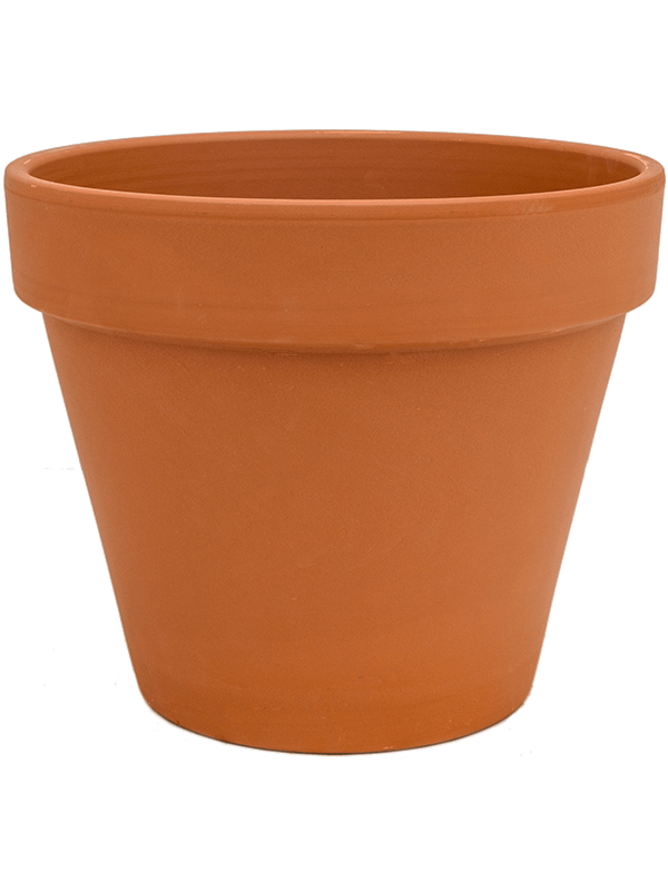 Terra Cotta, Den Daas