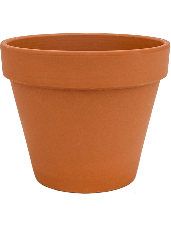 Terra Cotta, Den Daas